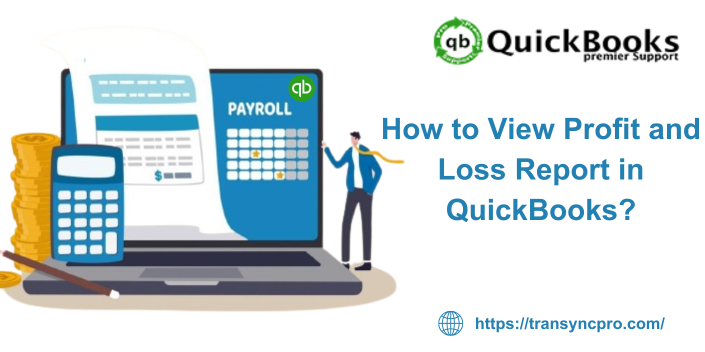 How to View Profit and Loss Report in QuickBooks?