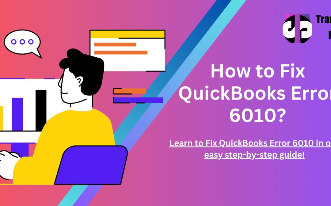 quickbooks error 6010